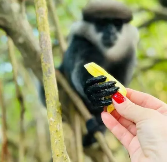 ペンション Museum Villa 09