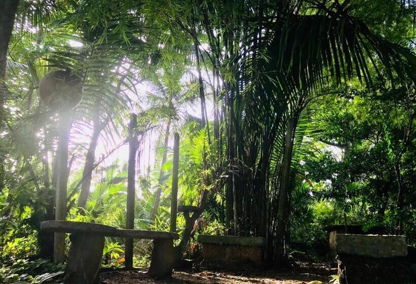 פנסיון Museum Villa 09