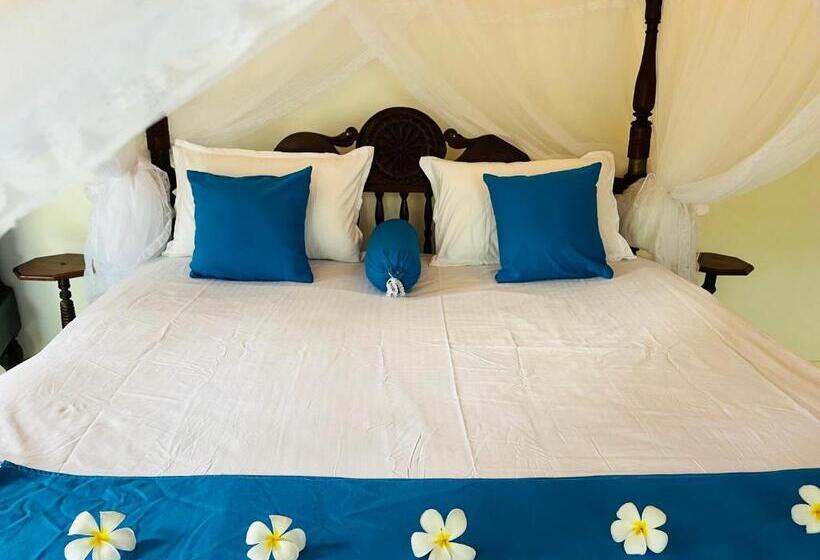 פנסיון Museum Villa 09