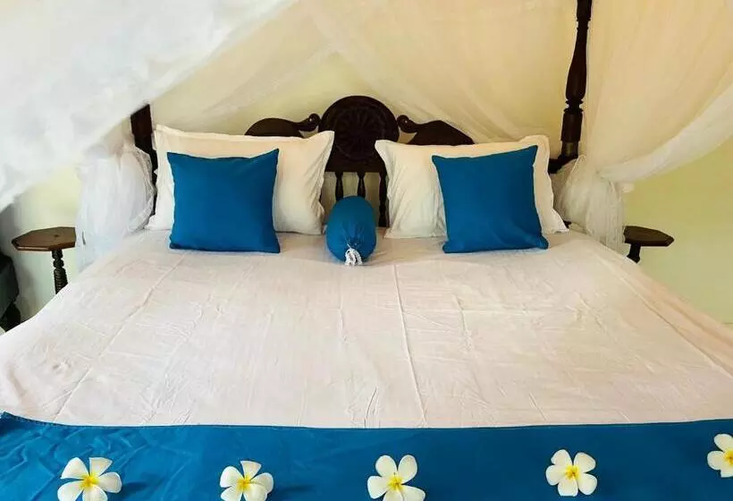 ペンション Museum Villa 09