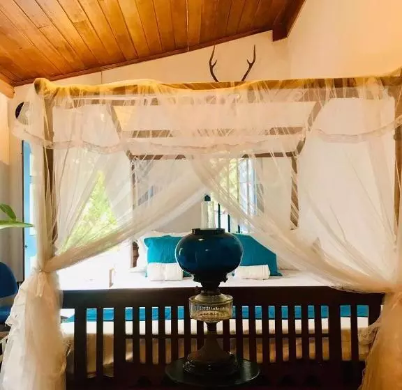 ペンション Museum Villa 09