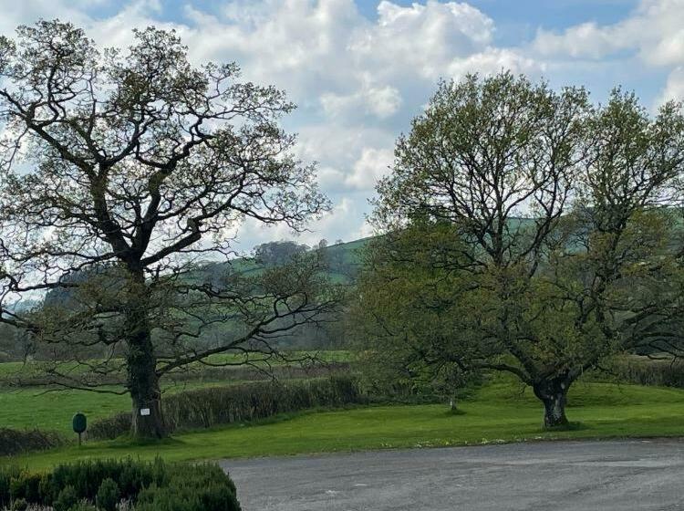 تختخواب و صبحانه The Cottage Inn