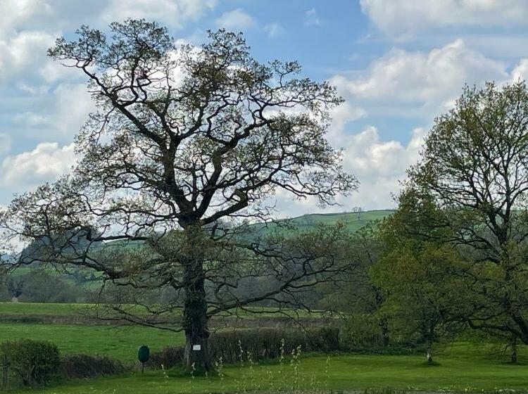 تختخواب و صبحانه The Cottage Inn