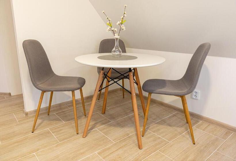 بنسيون Rosakvět