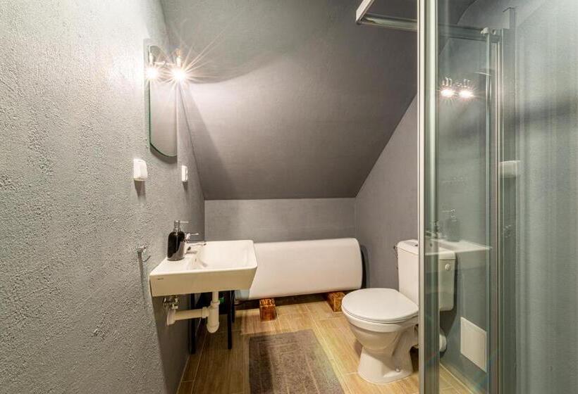 بنسيون Rosakvět