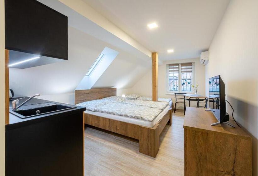 بنسيون Rosakvět