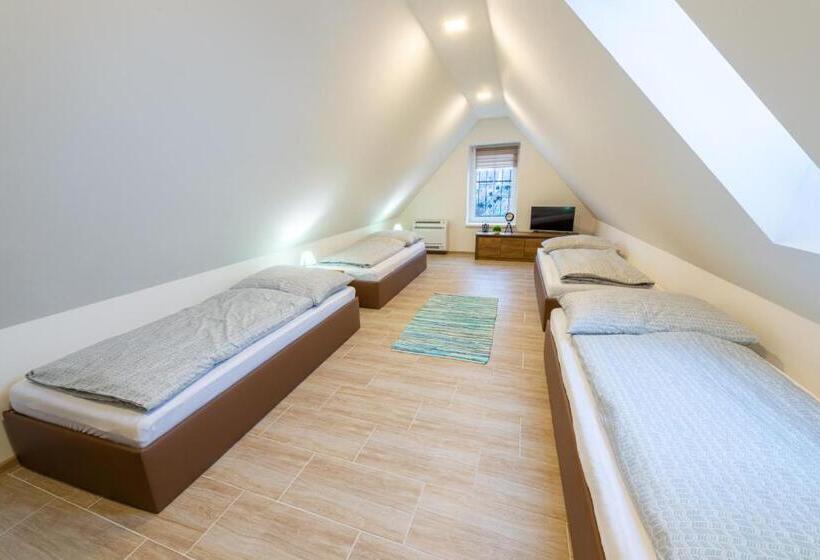 بنسيون Rosakvět