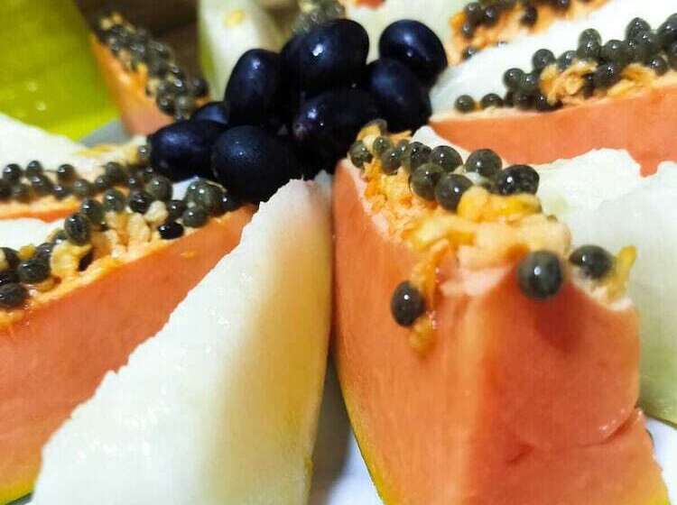 Otel Pousada Penha 2 Beto Carrero