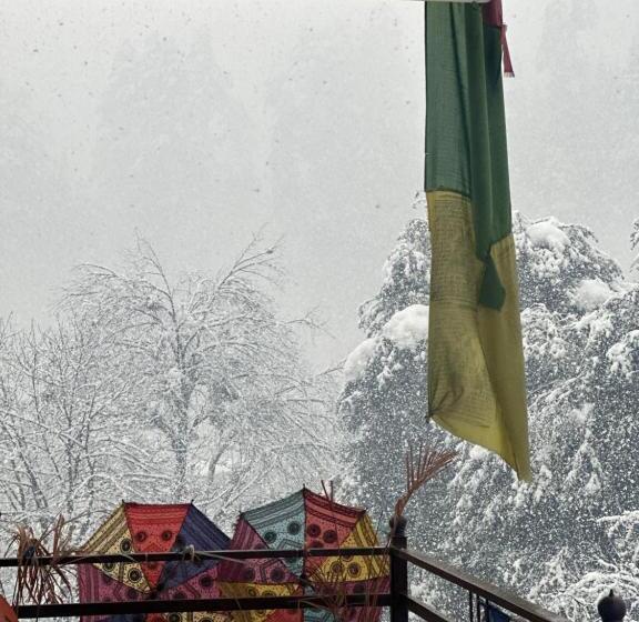 Отель The Cosmic Rajasthan