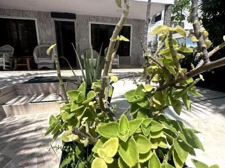 پانسیون Airport Cartagena