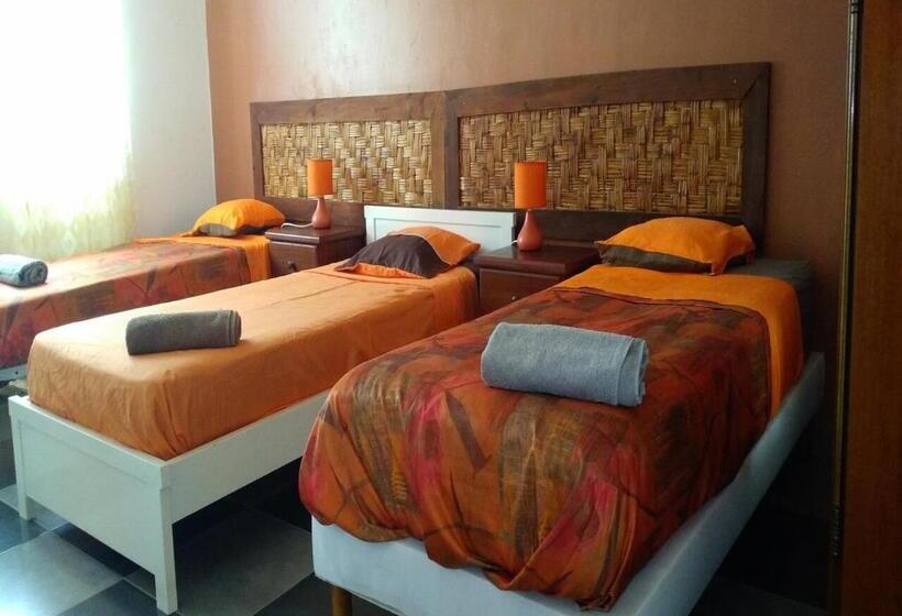 تختخواب و صبحانه Kolina D´sol