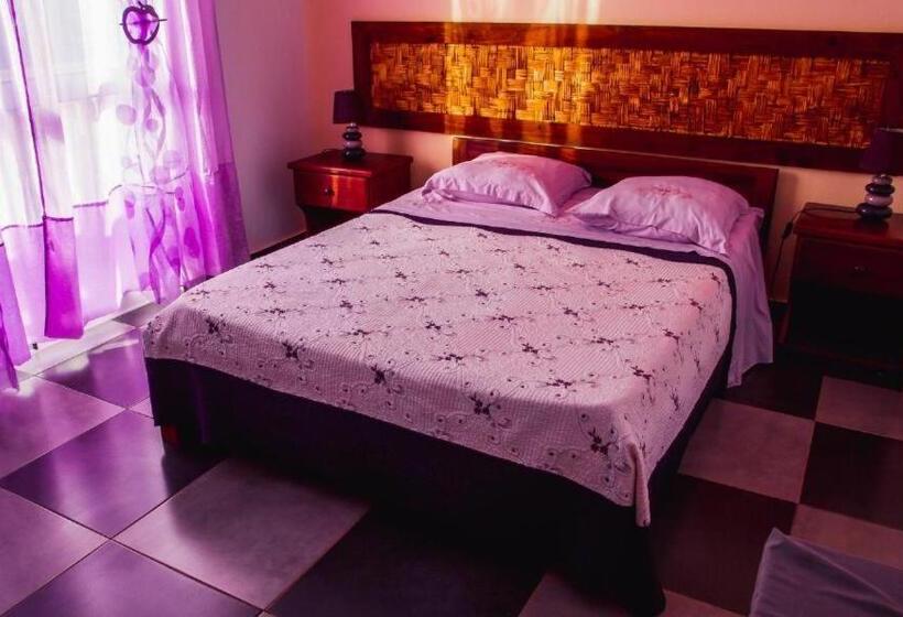 تختخواب و صبحانه Kolina D´sol