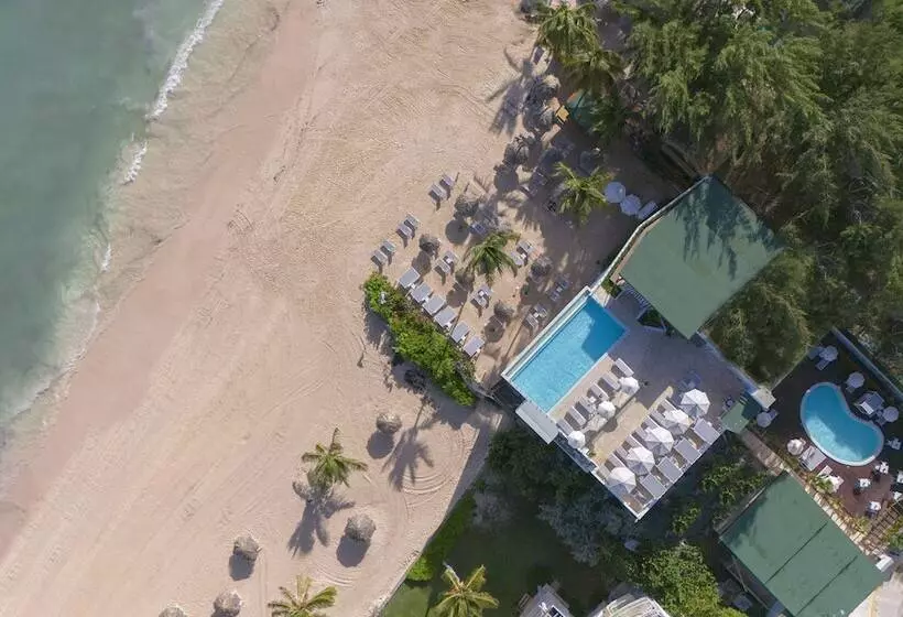 Hotelli Hm Bavaro Beach - Adults Only