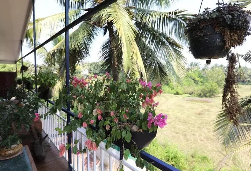 ホテル Nasya S Beach Side Cottages