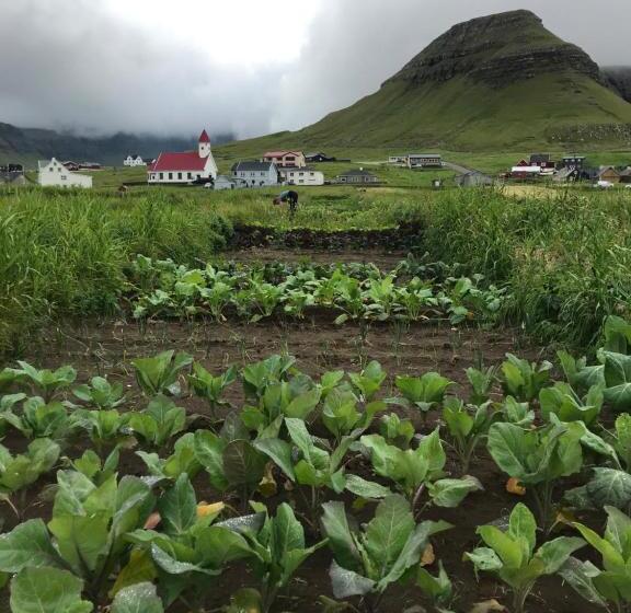 Hotel Heima í Stovu