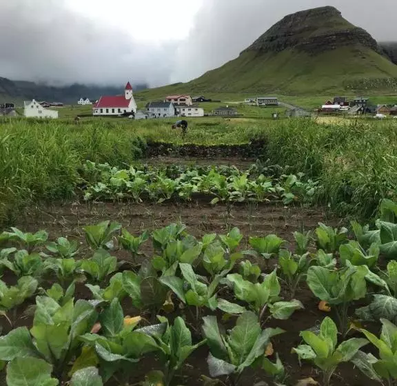 ホテル Heima í Stovu