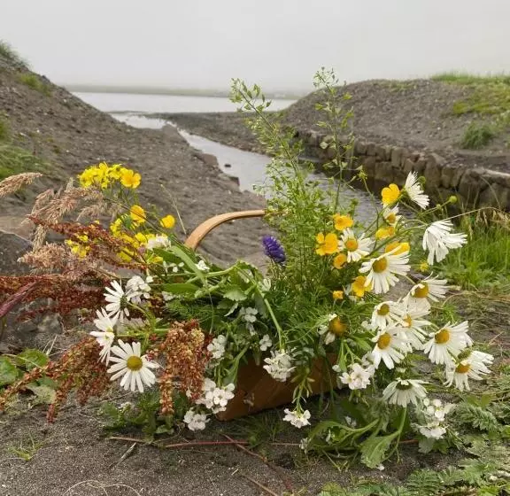 ホテル Heima í Stovu