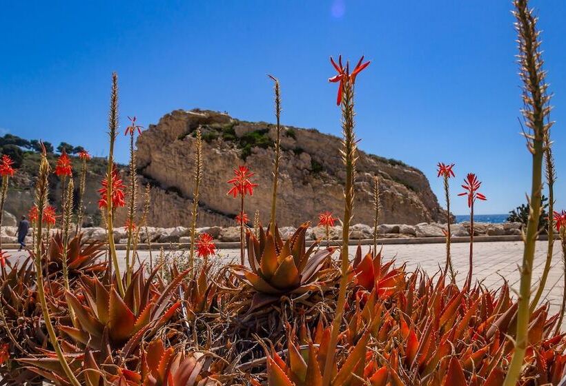 فندق Roccaregina