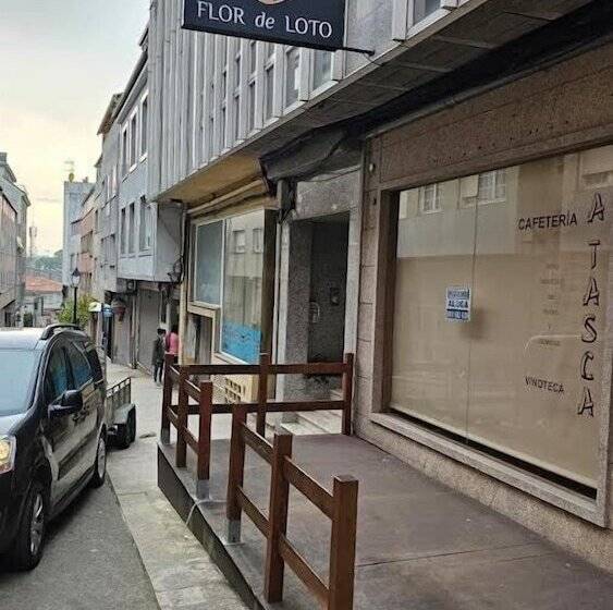 Отель Flor De Loto