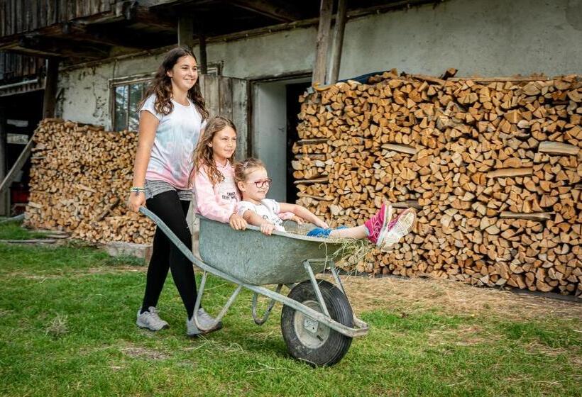 酒店 Gasthof Pension Orthofer