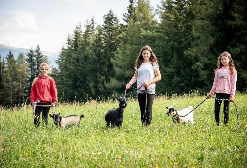 酒店 Gasthof Pension Orthofer