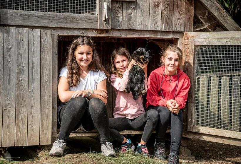 酒店 Gasthof Pension Orthofer