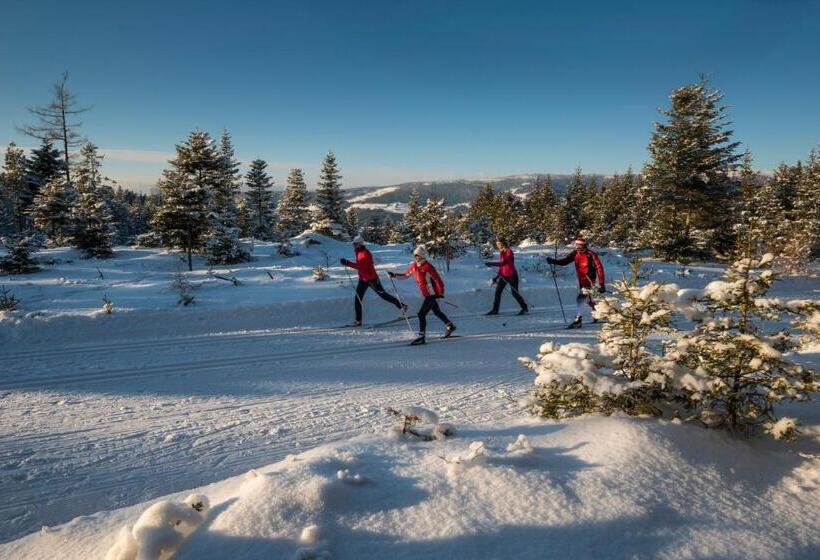 酒店 Gasthof Pension Orthofer