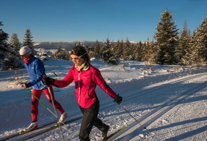 酒店 Gasthof Pension Orthofer