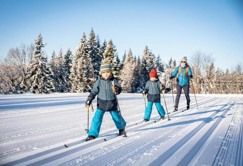 酒店 Gasthof Pension Orthofer