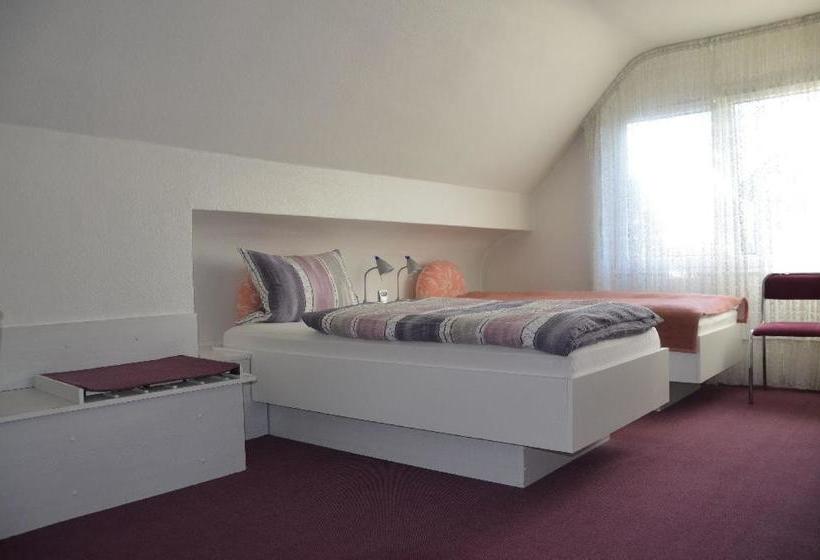 בית מלון כפרי Guesthouse Airminis