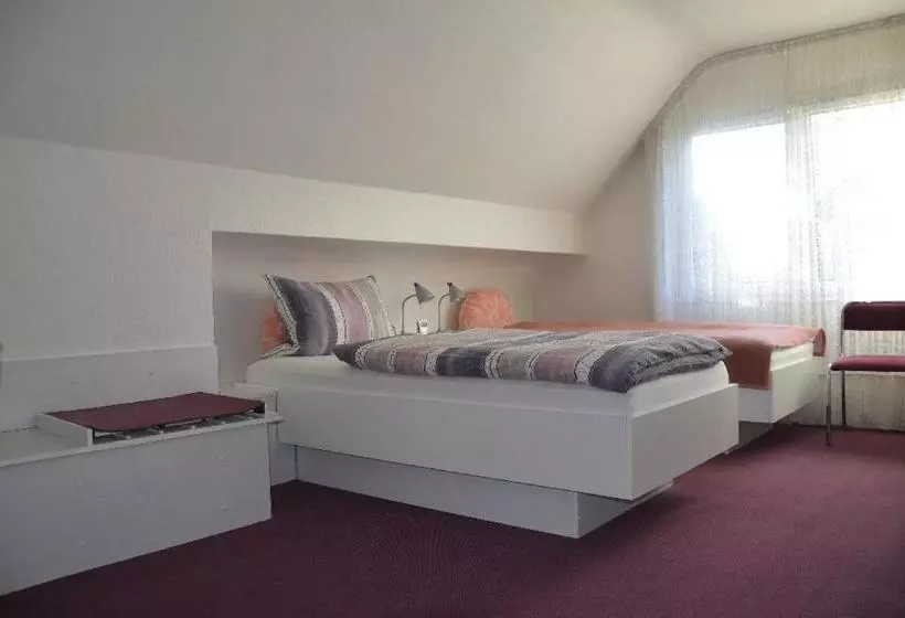 هتل Guesthouse Airminis