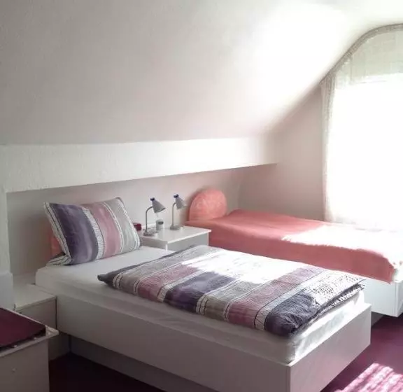 هتل Guesthouse Airminis