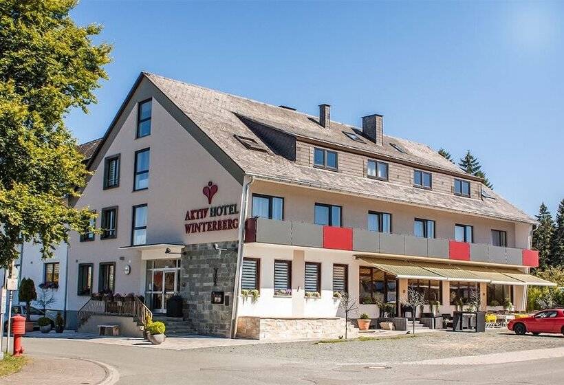 Aktiv Hotel Winterberg