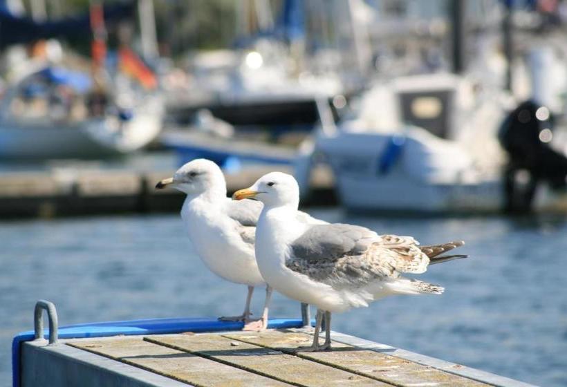 Hotel Appartementhaus Zum Strandkorb