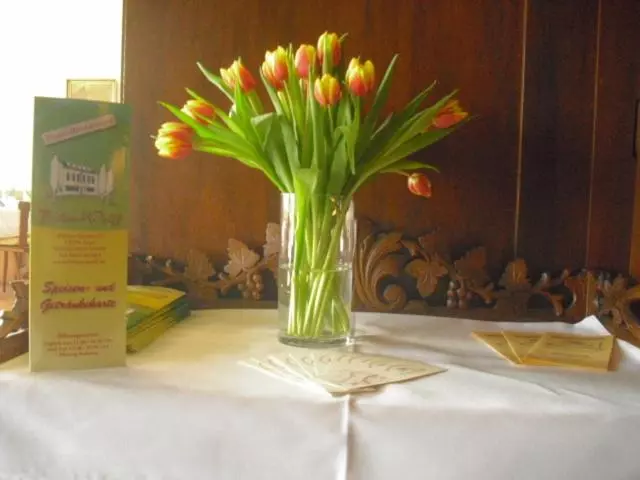 Hotelli Feilen Wolff