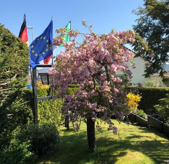 ホテル Gästehaus Cramer