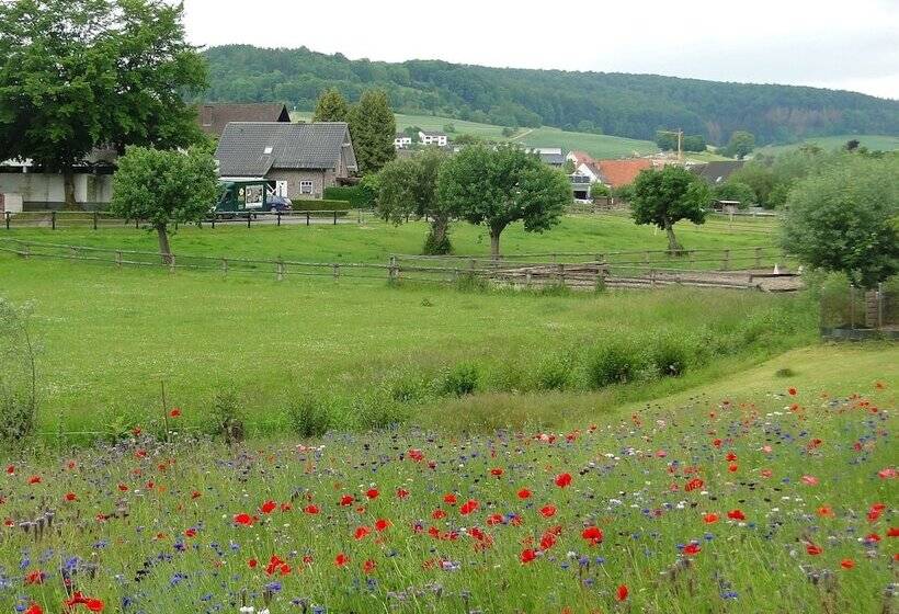 酒店 Hoxter Am Jakobsweg