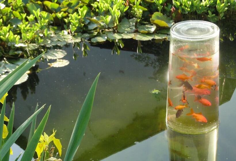 酒店 Hoxter Am Jakobsweg