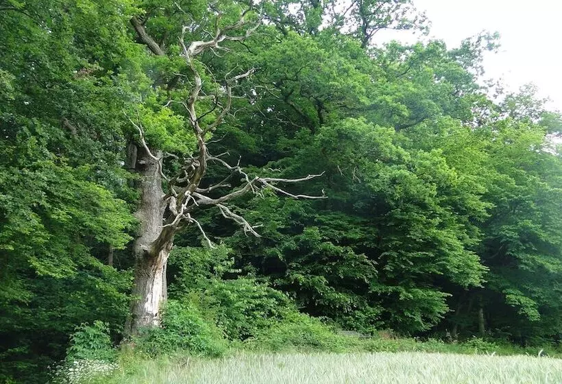 Hotelli Hoxter Am Jakobsweg