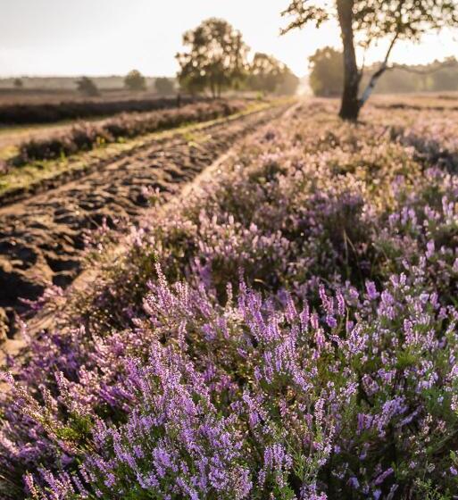 فندق Krelinger Freizeit Und Tagungszentrum
