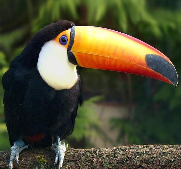 فندق Krelinger Freizeit Und Tagungszentrum