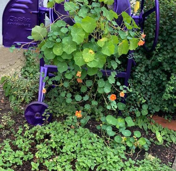 Hotel Aspire Kronprinz, Trademark Collection By Wyndham