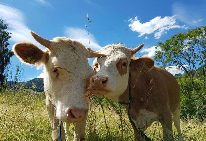 호텔 Landhaus Sonnenhof