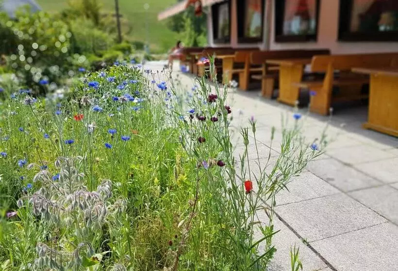 ホテル Landhaus Sonnenhof