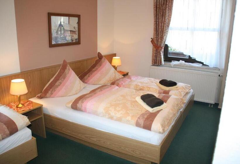 酒店 Pension Flechsig