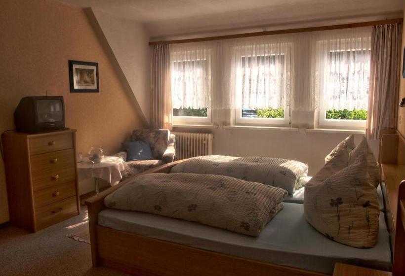 فندق Pension Volkert