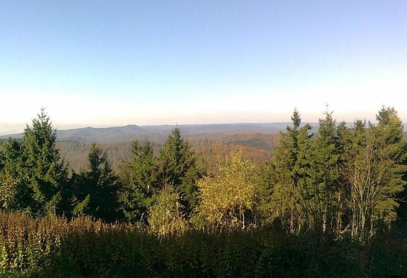 فندق Pension Volkert