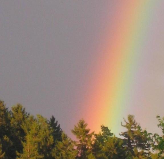 فندق Pension Volkert