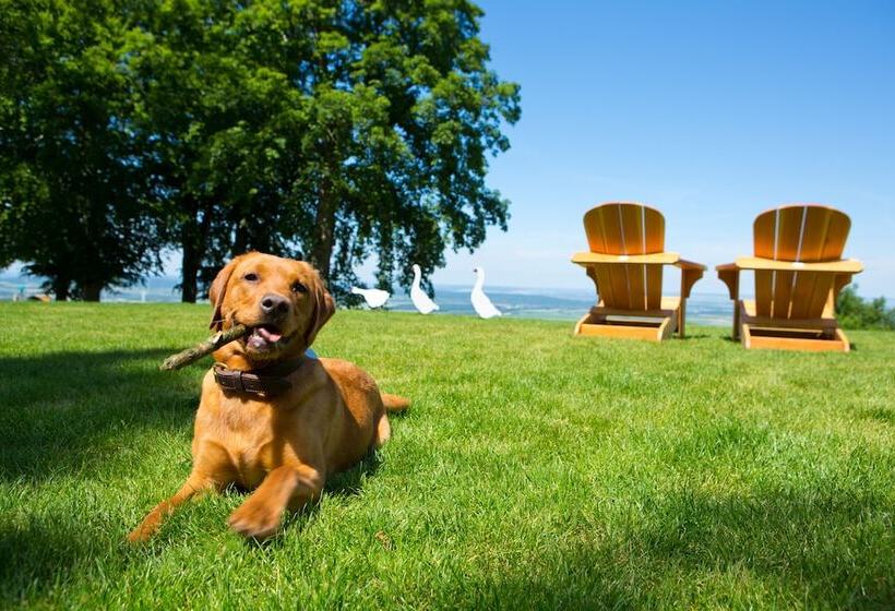 בית מלון כפרי Plumbohms Aussichtsreich Gast Und Logierhaus