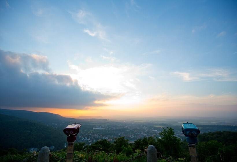 酒店 Plumbohms Aussichtsreich Gast Und Logierhaus